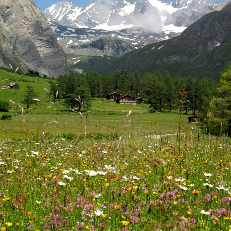 Ködnitztal