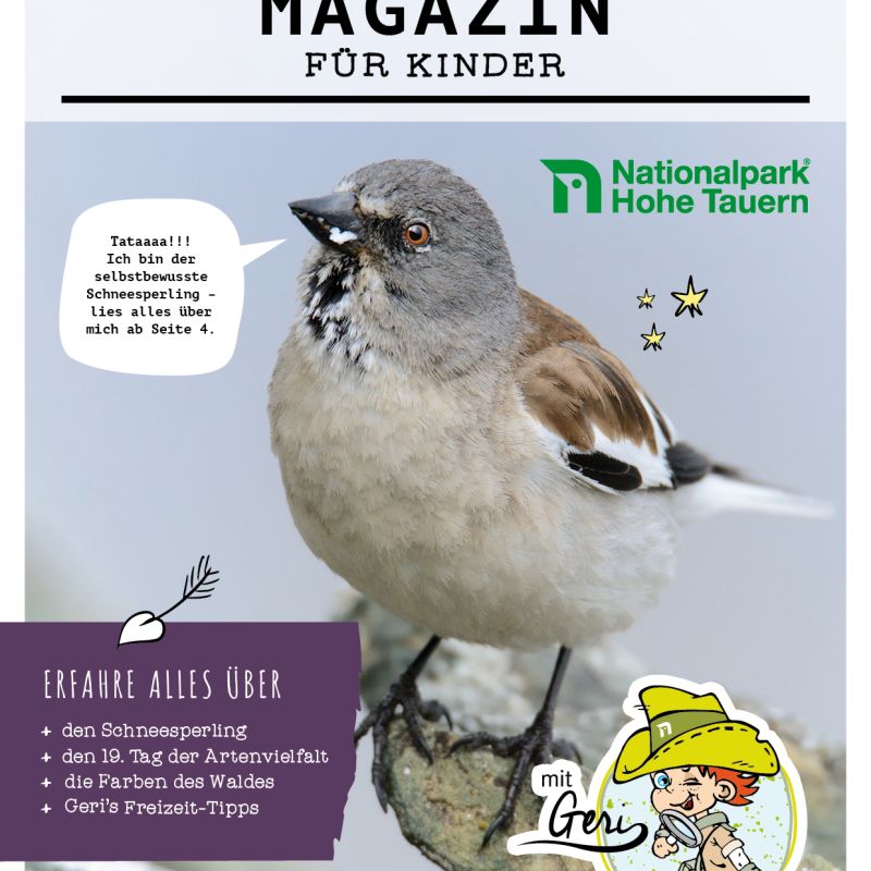 Neues für kleine Entdecker:innen – das Nationalpark Magazin für Kinder ist da!
